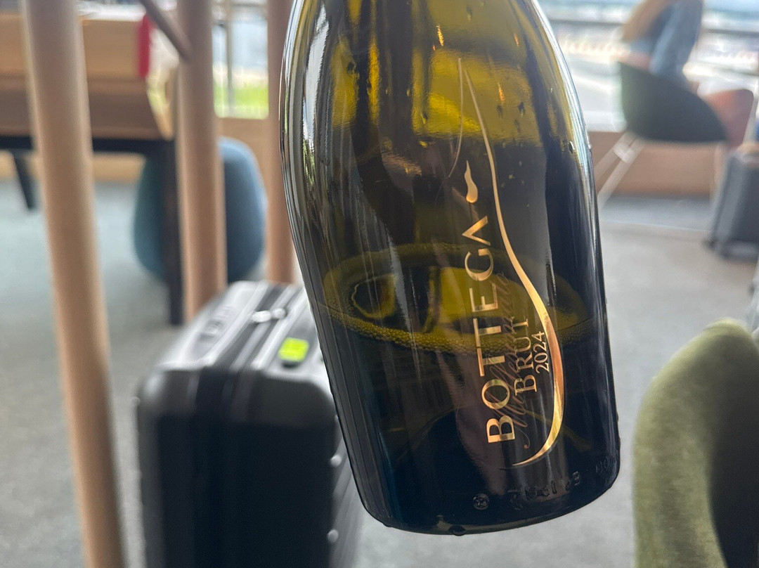 Plaza Premium Lounge Gatwick North Departures-霍利必去景点