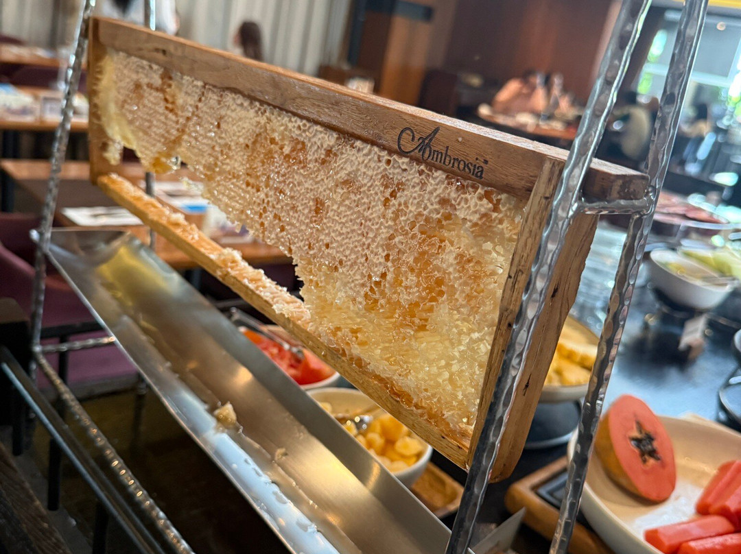 曼谷汉萨尔酒店主图