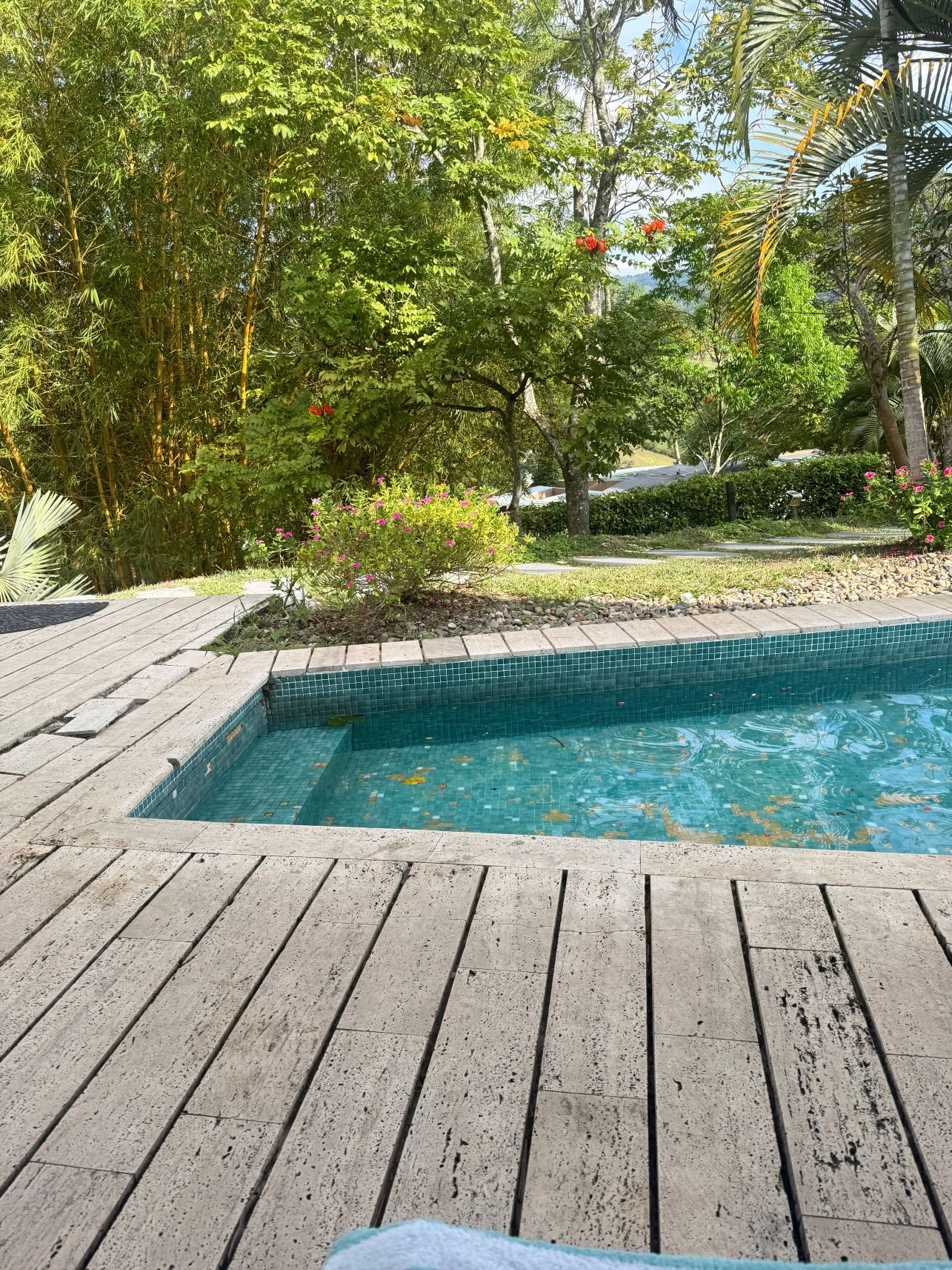 Hotel Casa Ambrosia-旅行者