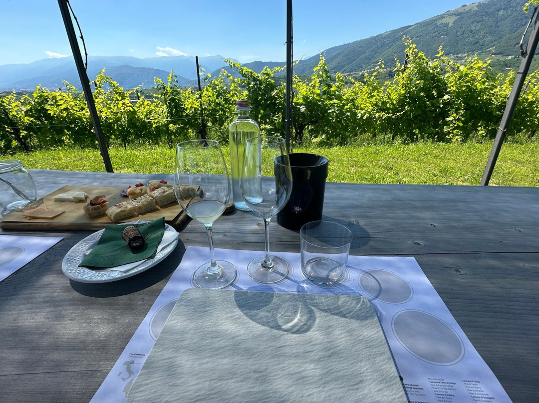 Col del lupo - Produzione e Degustazione Valdobbiadene Prosecco DOCG-Vidor必去景点