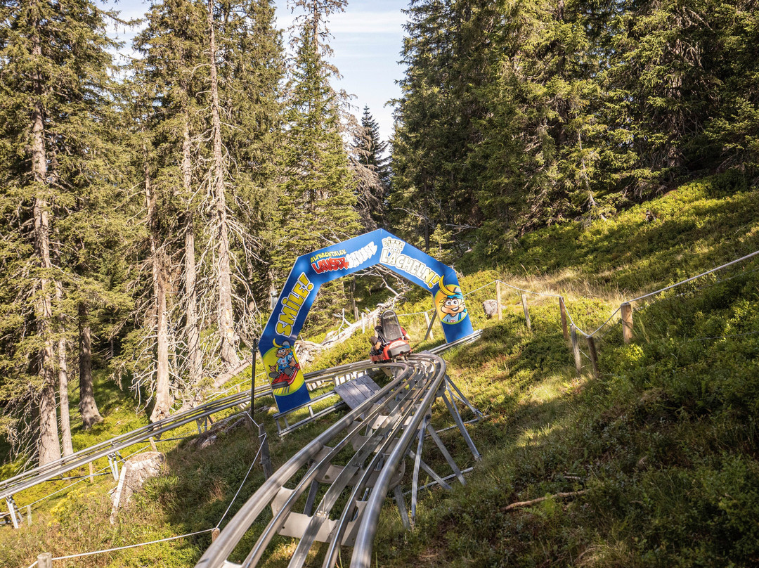 Alpbachtaler Lauser-Sauser-高山溪必去景点