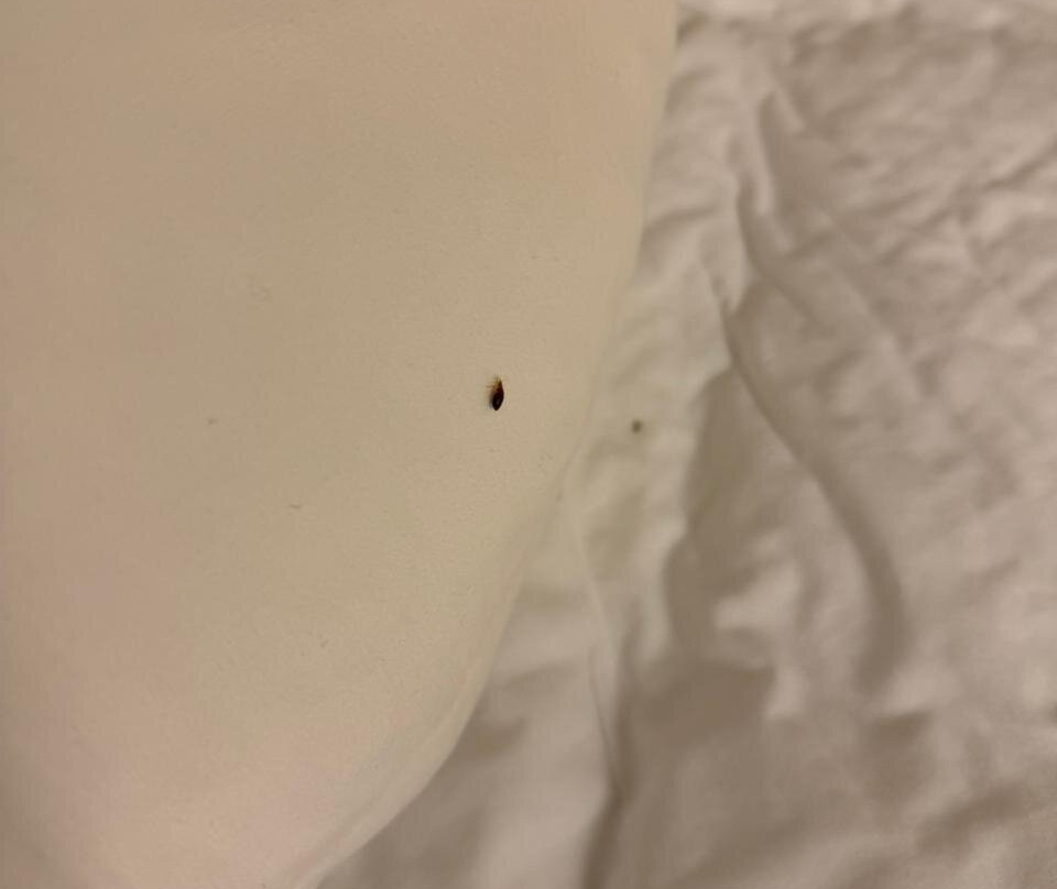 奎雷塔罗约里奇拉万枫酒店主图