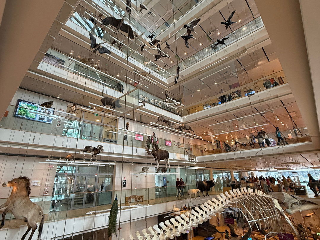 MUSE - Science Museum-特伦托必去景点