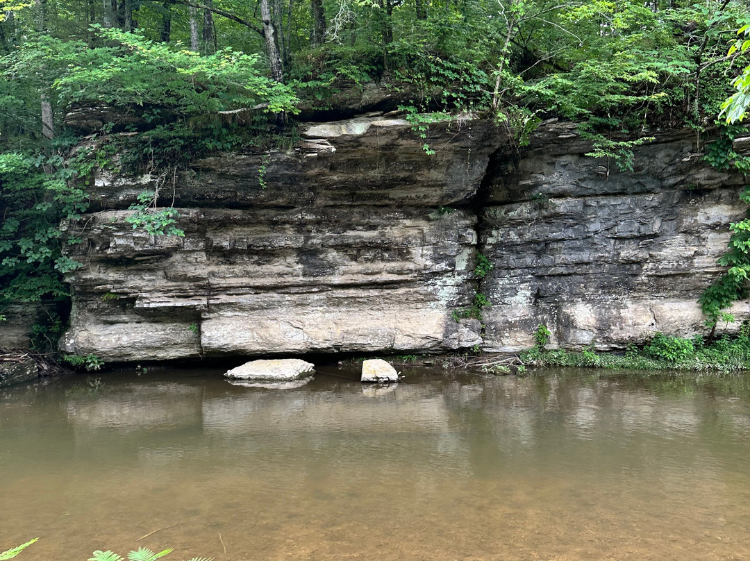 Natchez Trace Stables-Primm Springs必去景点