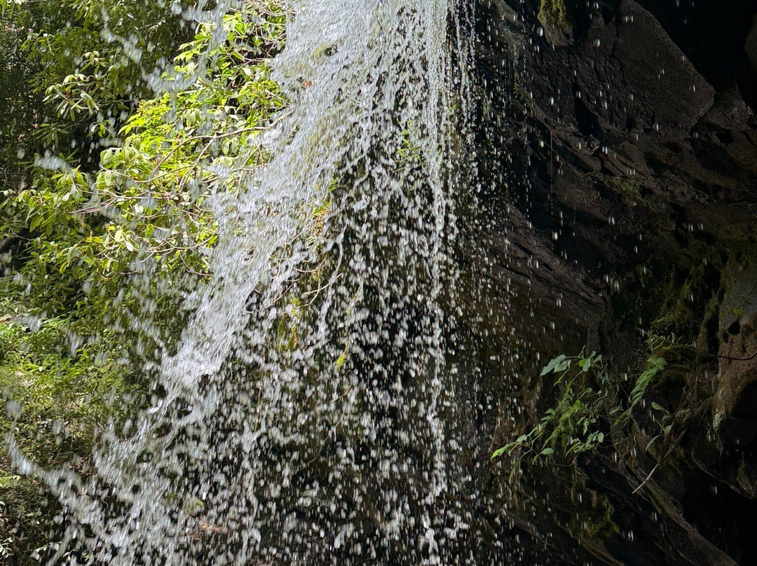Grotto Falls Trail-大雾山国家公园必去景点