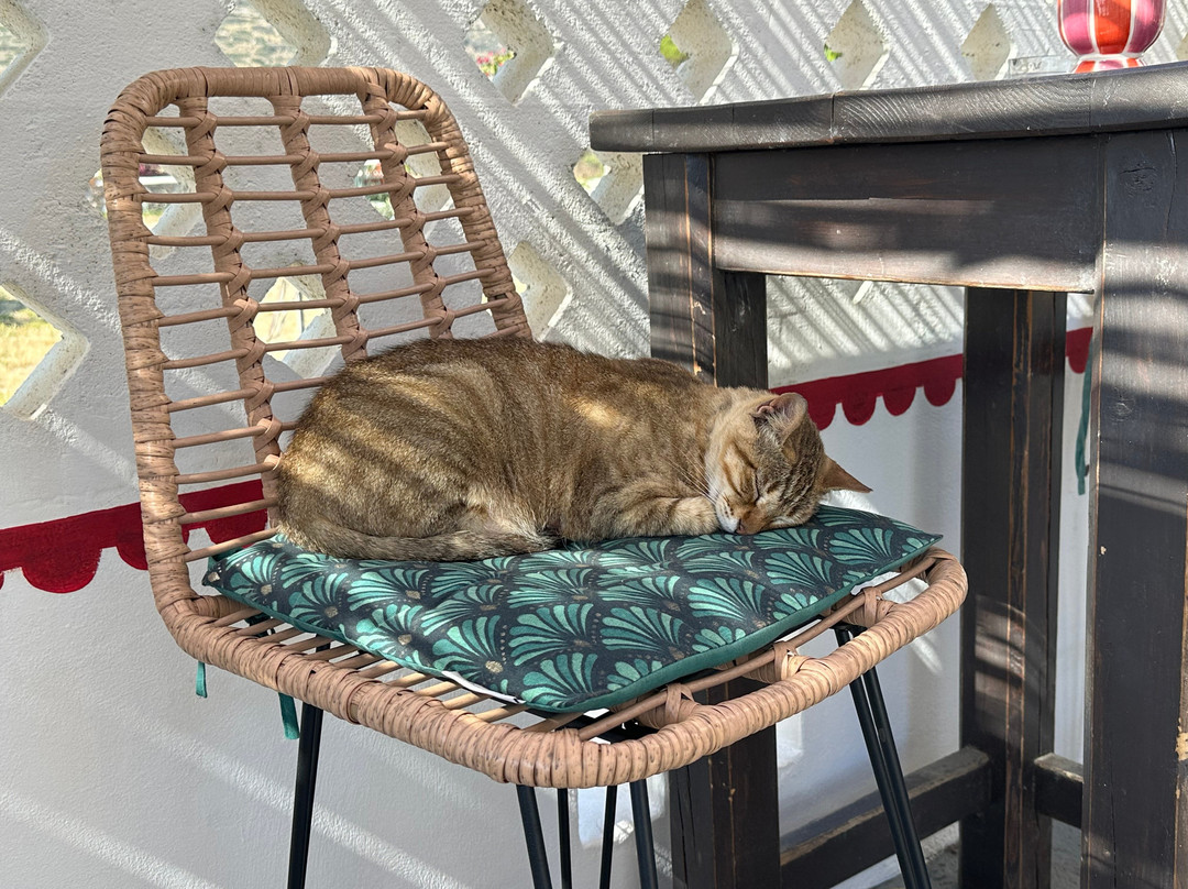 Bastet Amorgos