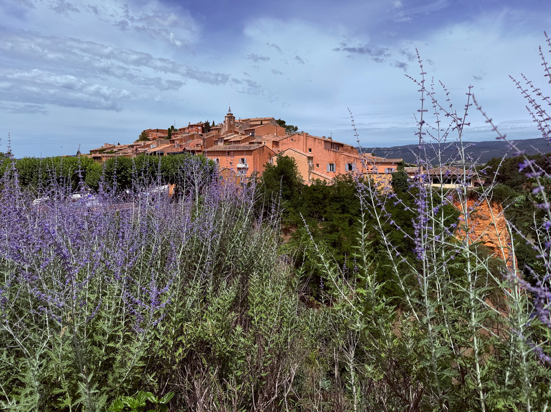 Provence Cycling Holidays主图