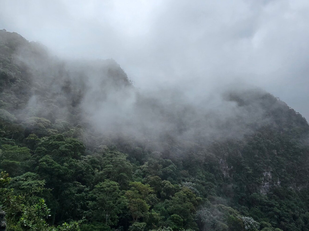 Parque Natural Chicaque-Chicaque必去景点