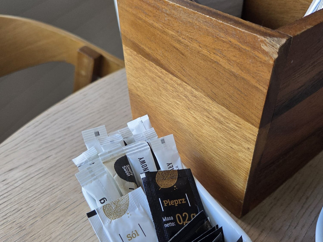 缅济兹德罗耶波罗的海琥珀温德姆维也纳之家酒店主图