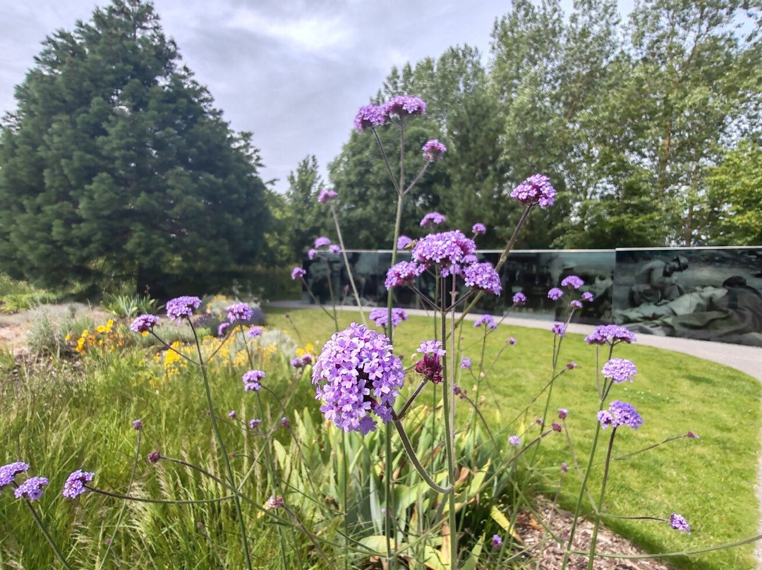 National Memorial Arboretum-Alrewas必去景点