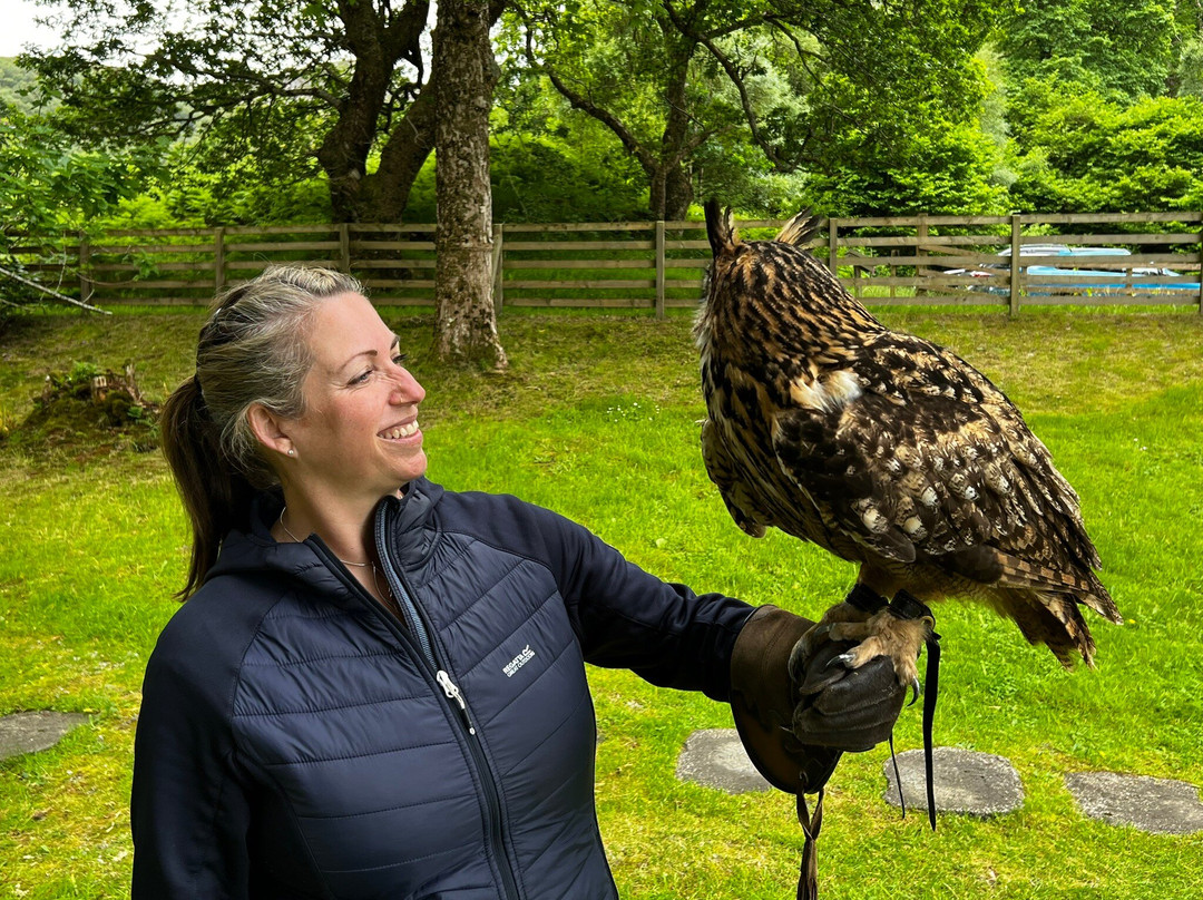 Shieldaig Falconry-盖尔洛赫必去景点