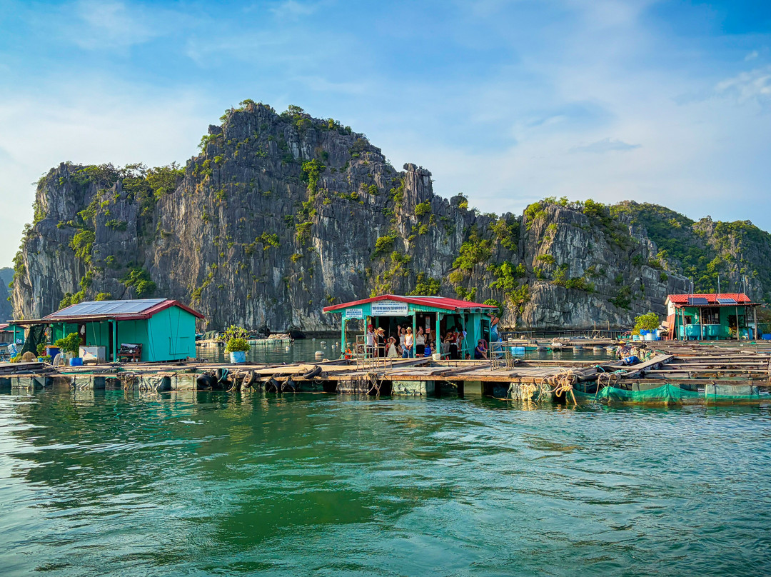 Cat Ba Green Trail Travel-Cat Ba Town必去景点