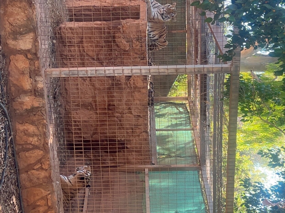 Pafos Zoo-帕福斯必去景点
