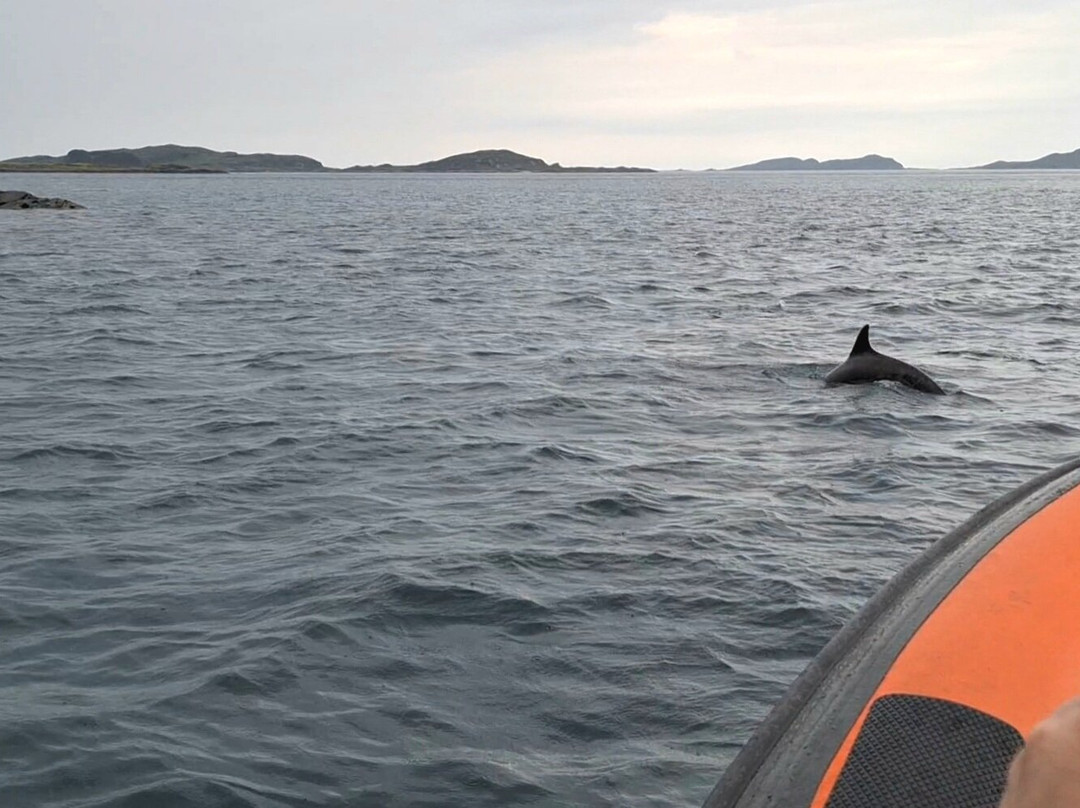 Seafari Adventures (Oban)-Ellenabeich必去景点