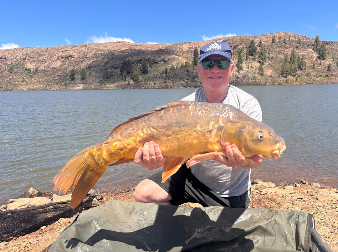 Carp Gran Canaria-San Bartolome de Tirajana必去景点