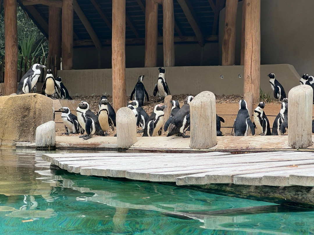 Zoo de La Palmyre-La Palmyre-Les Mathes必去景点