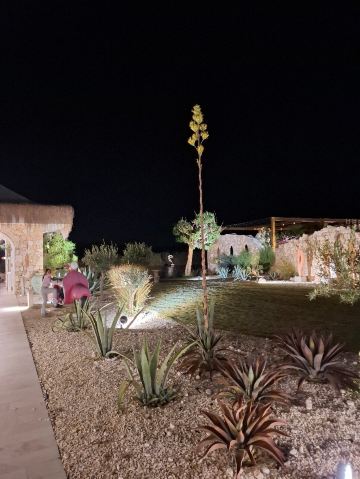 贝莱克泰坦尼克豪华高尔夫酒店-旅行者
