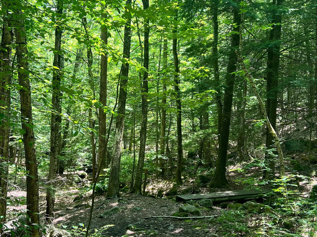 Douglas Mountain-Sebago必去景点