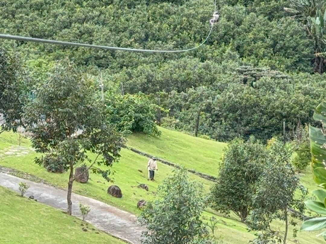 Vallé Advenature Park-Chamouny必去景点