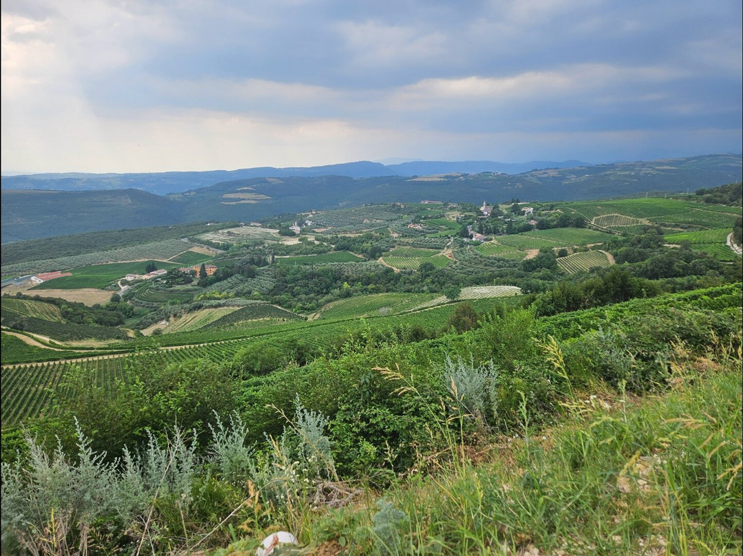 Tenute Ca' Botta