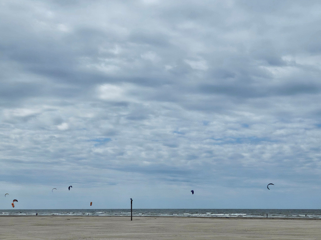Basecamp IJmuiden主图