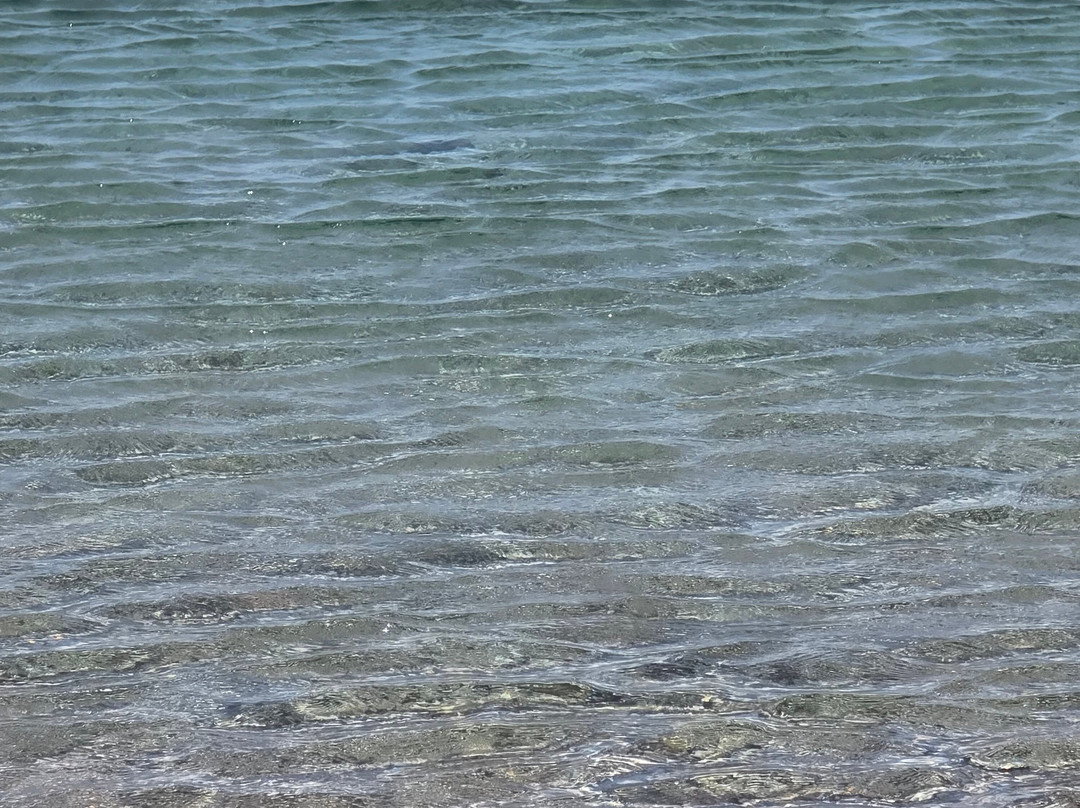 Saint Nicholas Beach-Hydra Town必去景点