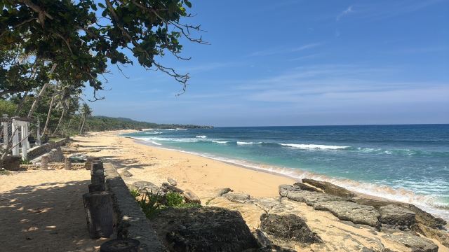 海滩度假村及休闲酒吧 G 酒店-旅行者