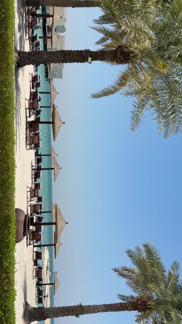 巴林萨拉克索菲特海洋温泉酒店-旅行者