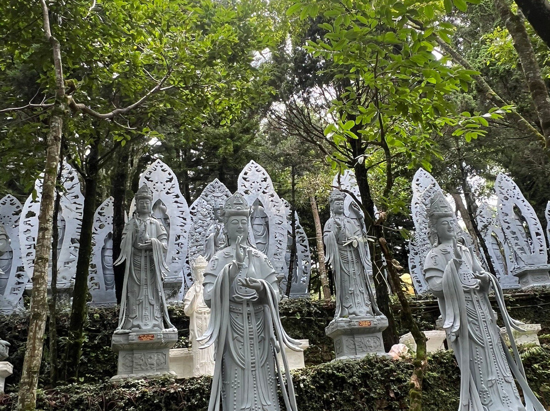 Mr. Peace's Tour Dalat-大勒必去景点