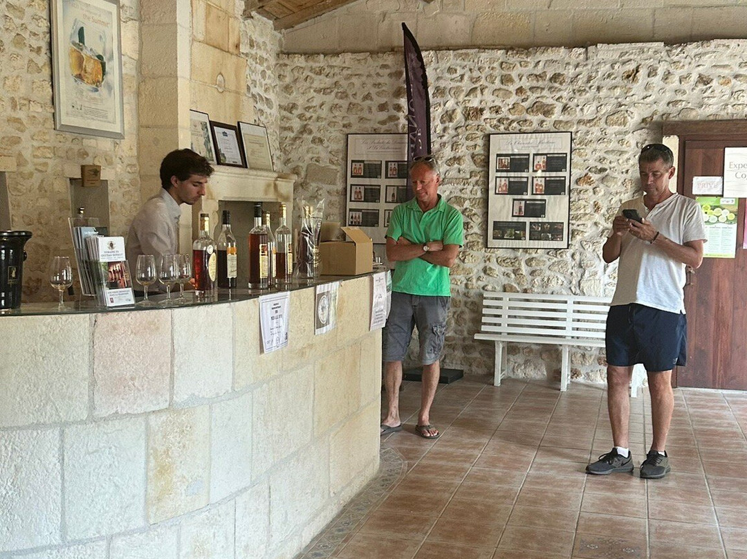 Domaine de Château Guynot-Tesson必去景点