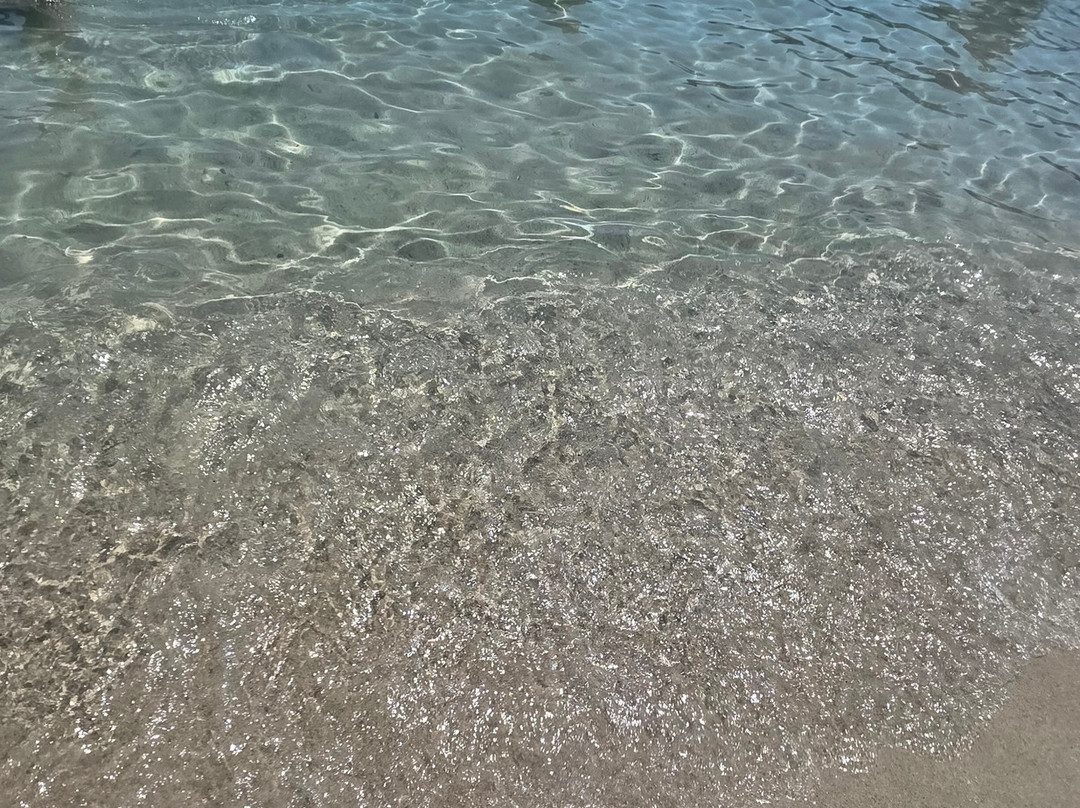 Spiaggia di Fetovaia-Campo nell'Elba必去景点