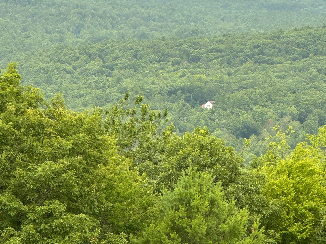 Mount Agamenticus-约克必去景点