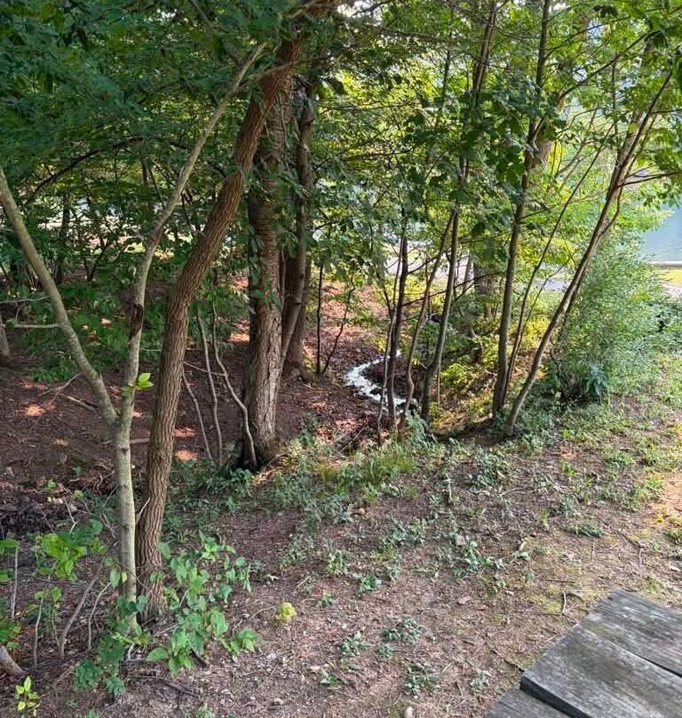 Cowans Gap State Park-Fort Loudon必去景点