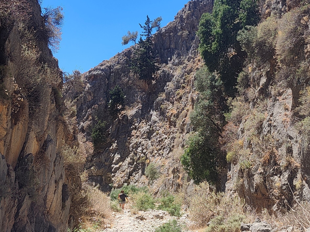 Imbros Gorge-Hora Sfakion必去景点