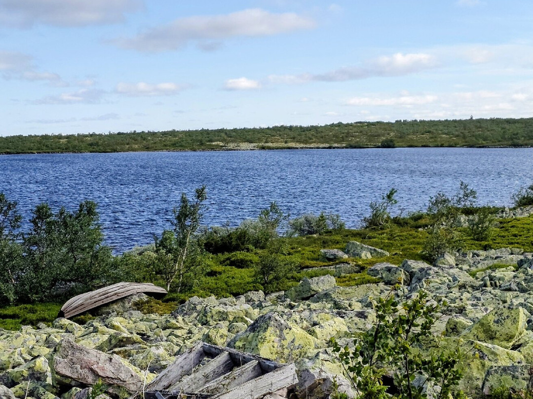 Fulufjällets National Park-Sarna必去景点