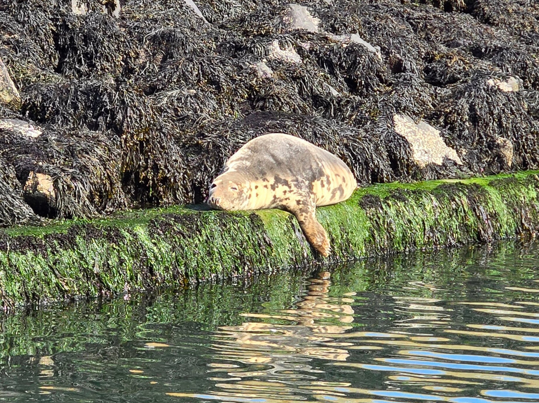 Eyemouth Rib Trips-Eyemouth必去景点