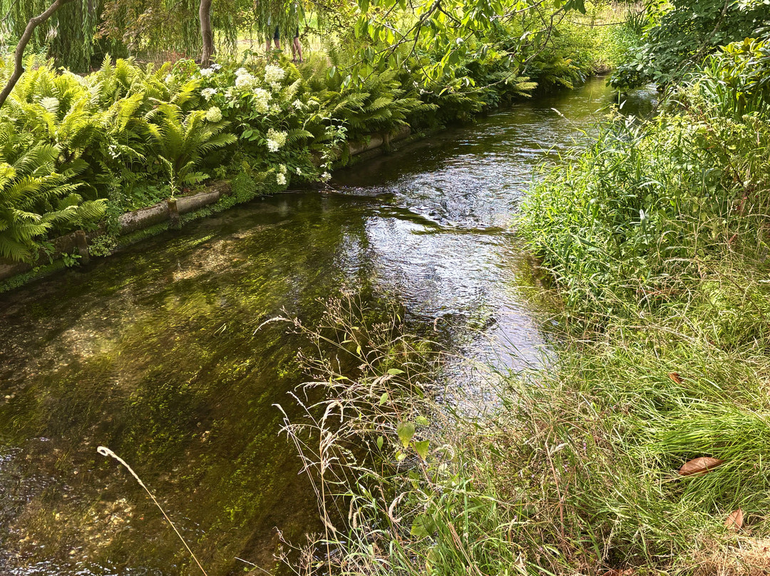 Heale Gardens-Middle Woodford必去景点