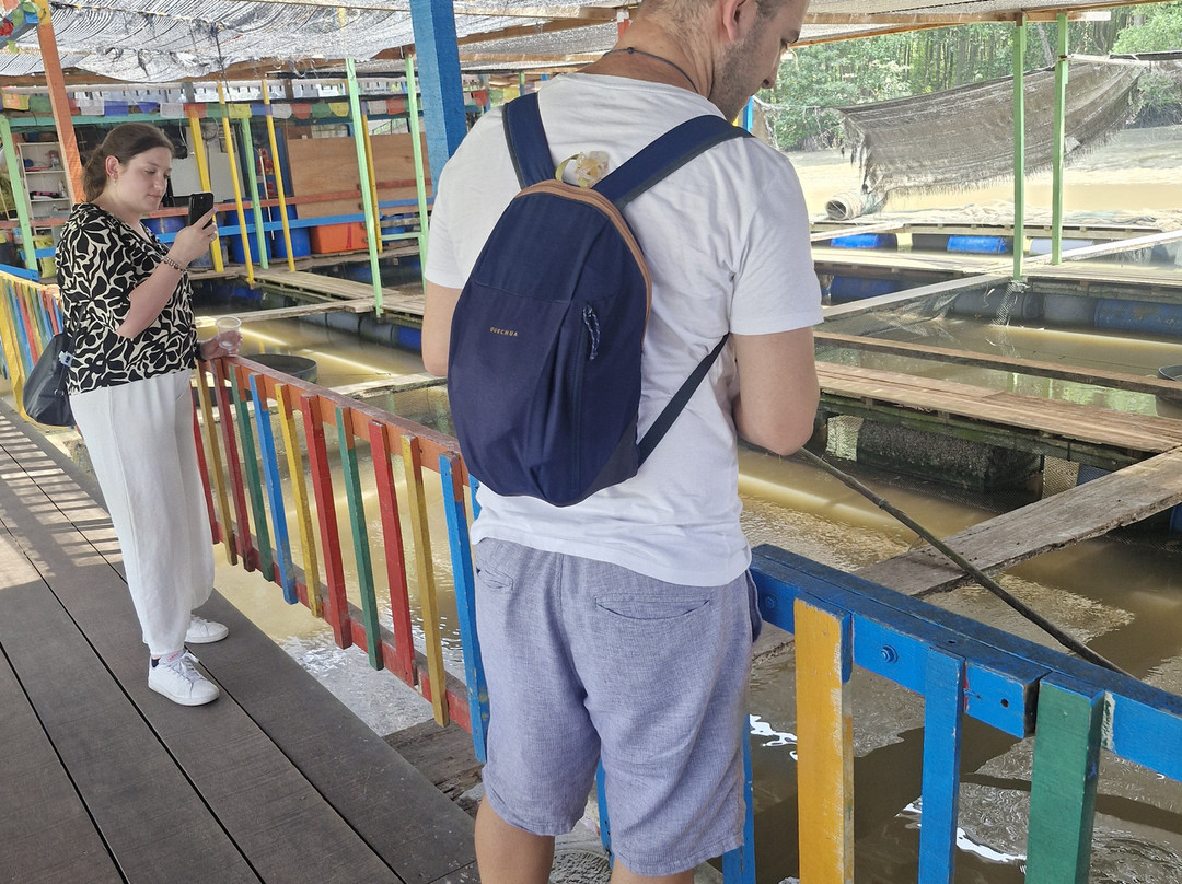 Matang Mangrove Forest Reserve-Kuala Sepetang必去景点