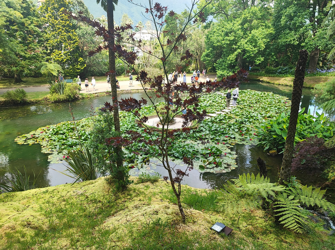 Parque Terra Nostra-富尔纳斯必去景点