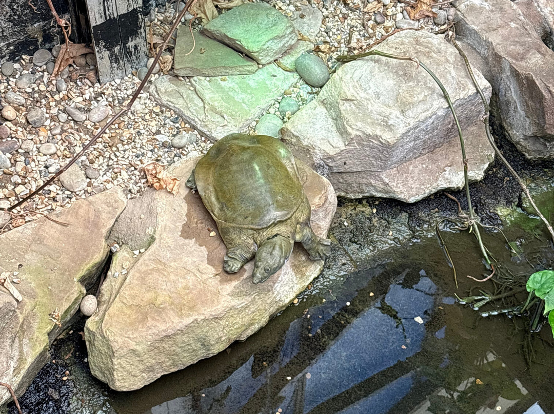 Shepreth Wildlife Park-Shepreth必去景点