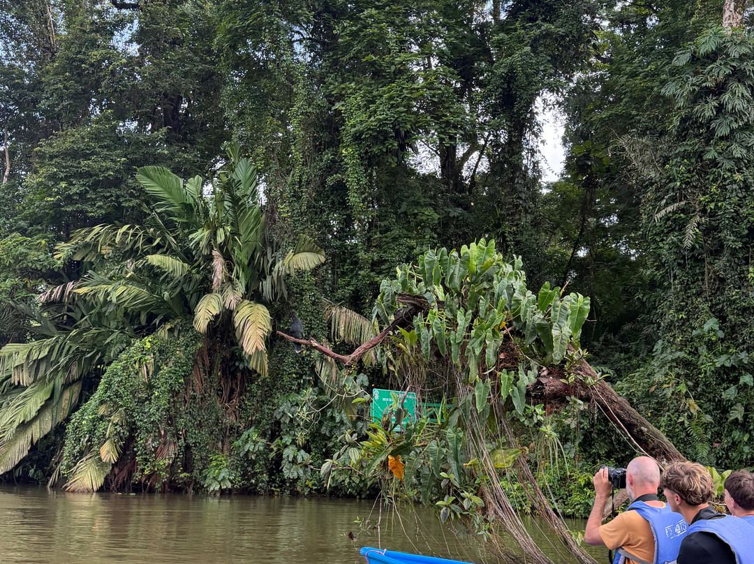Costa Rica Roots Tours-托图杰多必去景点