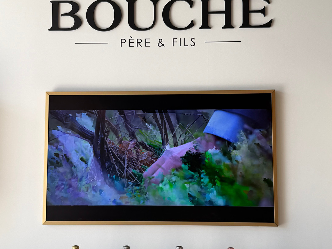 Champagne Bouche Père et Fils-Pierry必去景点