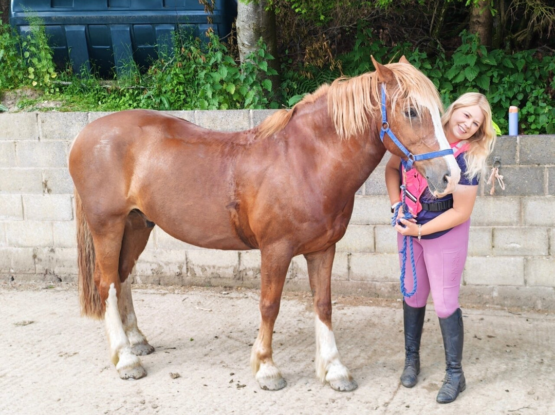 Springhill Farm Riding Stables-奥斯沃斯特必去景点