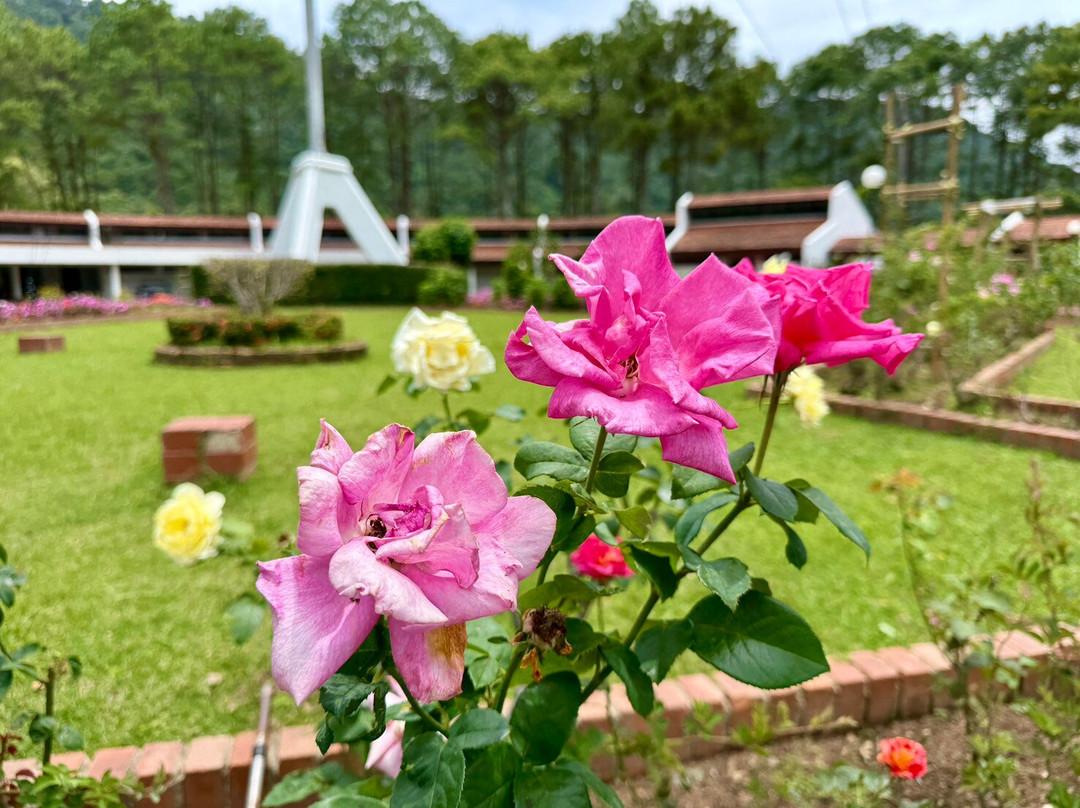 Khao Kho Royal Palace-考柯县必去景点