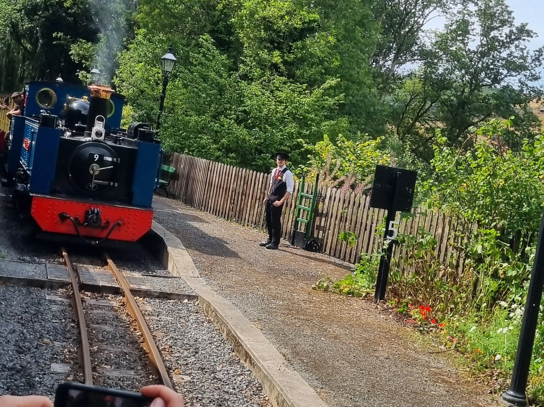 Vale of Rheidol Railway-阿伯里斯特威斯必去景点