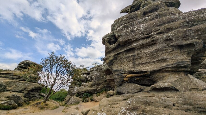 Brimham Rocks-哈罗盖特必去景点