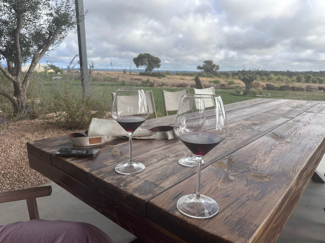 Vicentino Wines