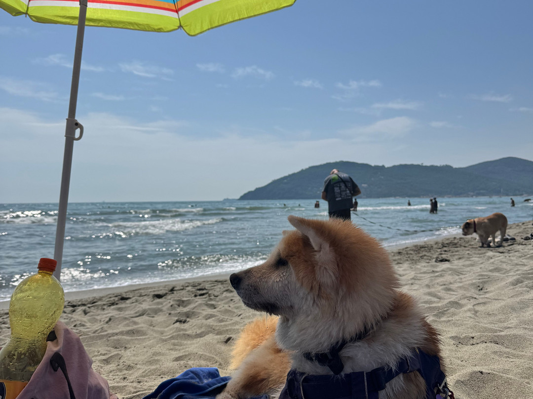 Bau Bau Beach-Marina di Carrara必去景点