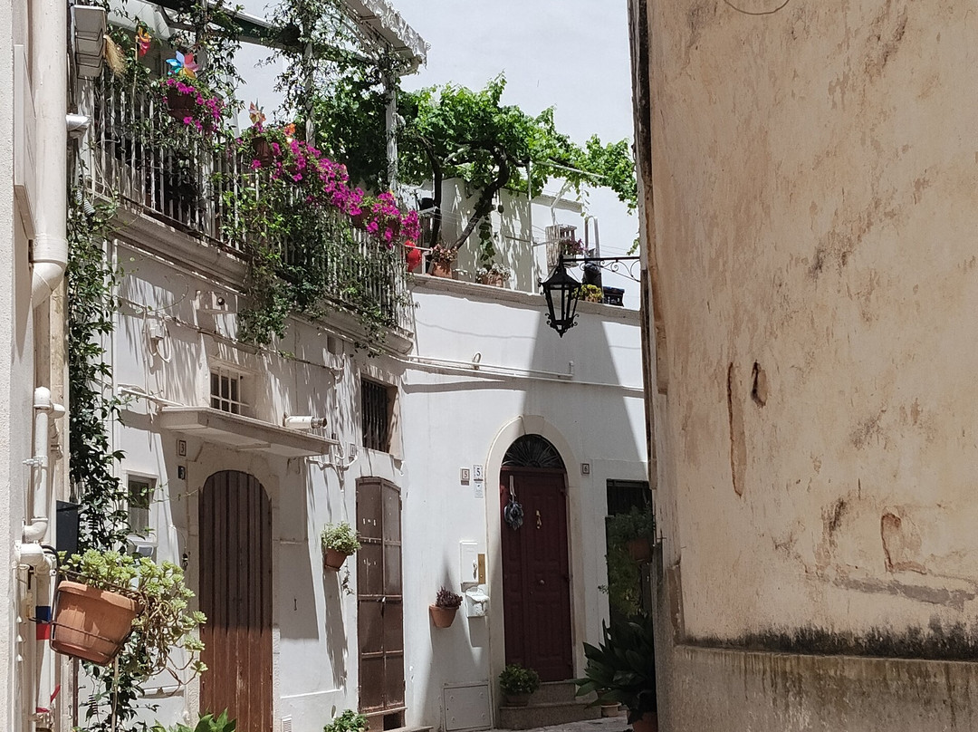 Centro Storico-马丁纳弗兰卡必去景点