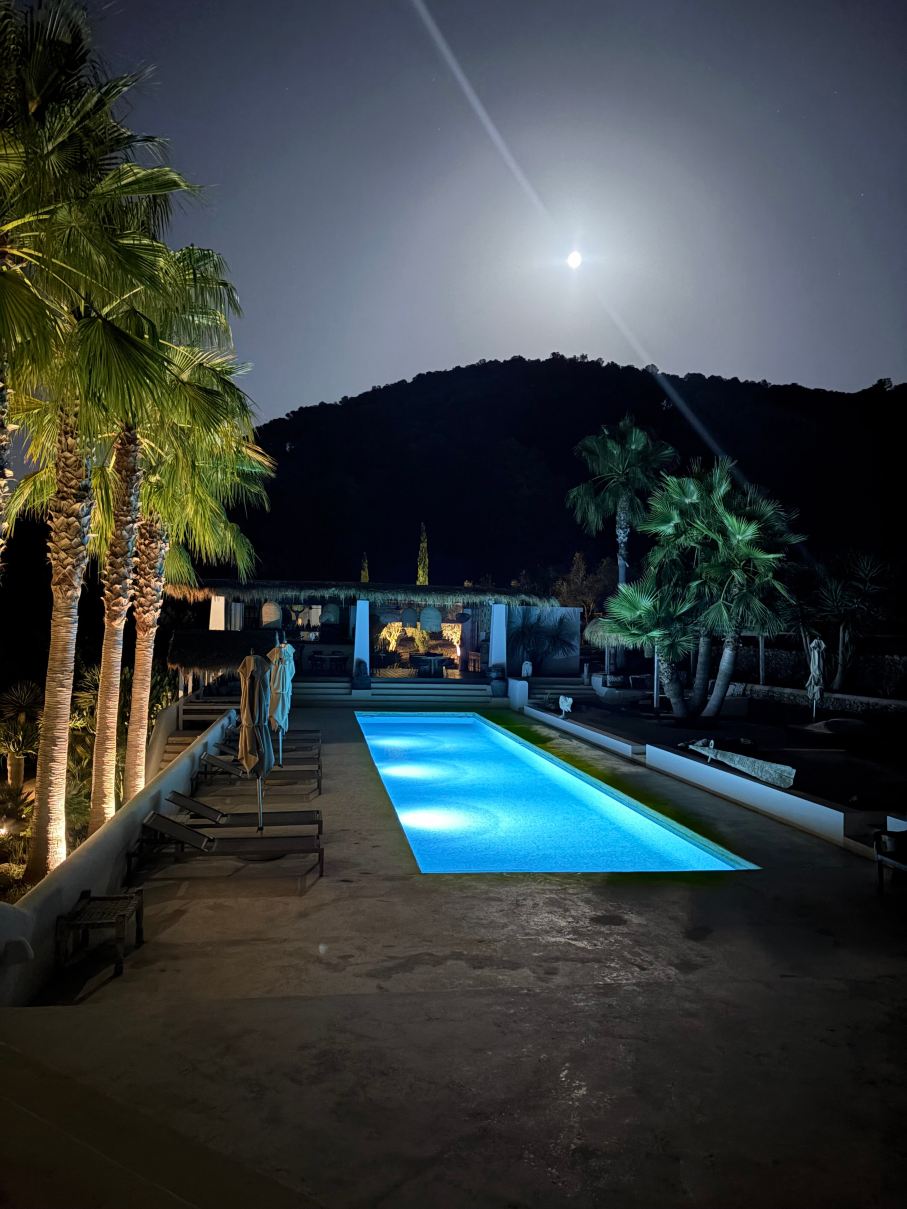 Pure House Ibiza-旅行者